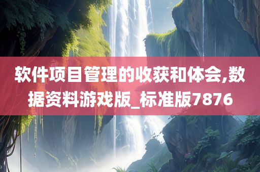 软件项目管理的收获和体会,数据资料游戏版_标准版7876