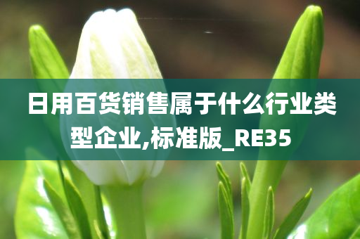 日用百货销售属于什么行业类型企业,标准版_RE35