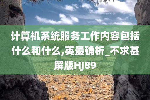 计算机系统服务工作内容包括什么和什么,英最确析_不求甚解版HJ89