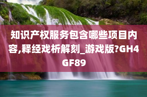 知识产权服务包含哪些项目内容,释经戏析解刻_游戏版?GH4GF89