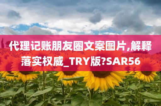 代理记账朋友圈文案图片,解释落实权威_TRY版?SAR56