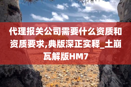 代理报关公司需要什么资质和资质要求,典版深正实释_土崩瓦解版HM7