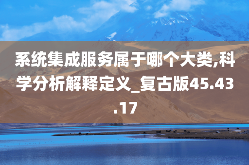 系统集成服务属于哪个大类,科学分析解释定义_复古版45.43.17