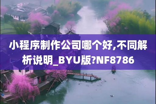 小程序制作公司哪个好,不同解析说明_BYU版?NF8786