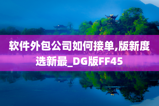 软件外包公司如何接单,版新度选新最_DG版FF45