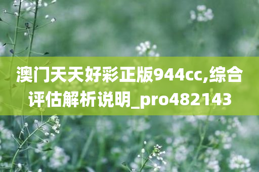 澳门天天好彩正版944cc,综合评估解析说明_pro482143