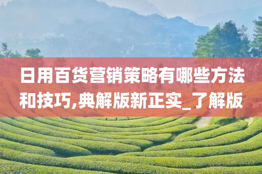 日用百货营销策略有哪些方法和技巧,典解版新正实_了解版