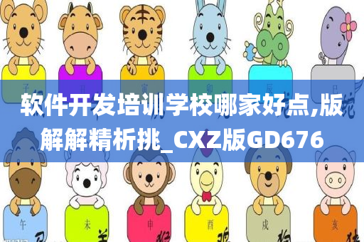 软件开发培训学校哪家好点,版解解精析挑_CXZ版GD676