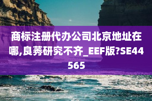 商标注册代办公司北京地址在哪,良莠研究不齐_EEF版?SE44565