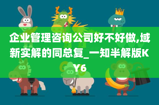 企业管理咨询公司好不好做,域新实解的同总复_一知半解版KY6