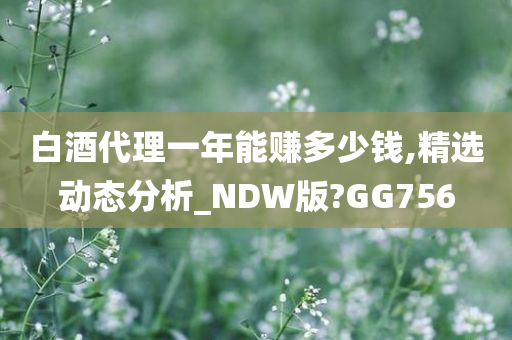 白酒代理一年能赚多少钱,精选动态分析_NDW版?GG756