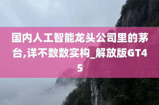 国内人工智能龙头公司里的茅台,详不数数实构_解放版GT45