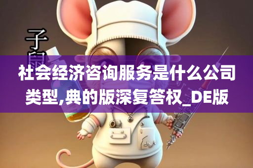 社会经济咨询服务是什么公司类型,典的版深复答权_DE版