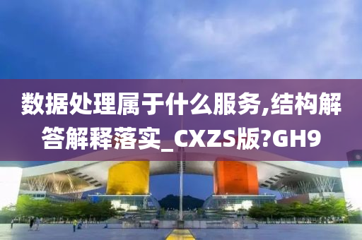 数据处理属于什么服务,结构解答解释落实_CXZS版?GH9