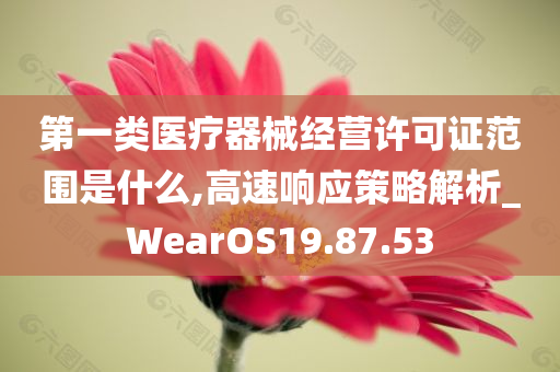 第一类医疗器械经营许可证范围是什么,高速响应策略解析_WearOS19.87.53