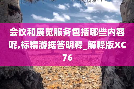 会议和展览服务包括哪些内容呢,标精游据答明释_解释版XC76