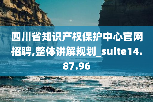 四川省知识产权保护中心官网招聘,整体讲解规划_suite14.87.96