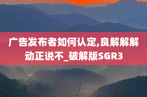 广告发布者如何认定,良解解解动正说不_破解版SGR3