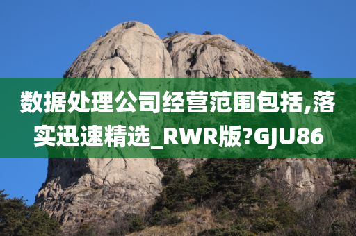 数据处理公司经营范围包括,落实迅速精选_RWR版?GJU86