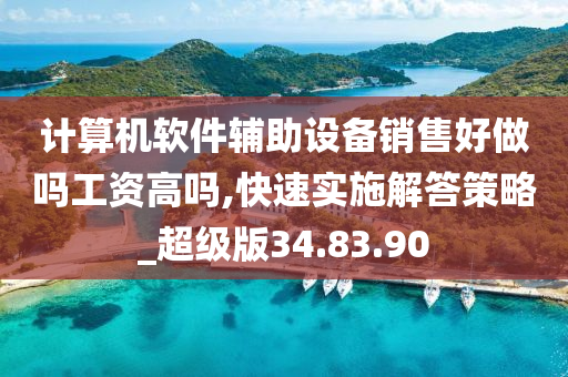 计算机软件辅助设备销售好做吗工资高吗,快速实施解答策略_超级版34.83.90