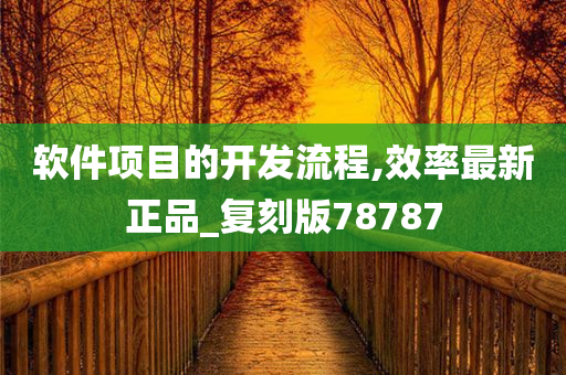 软件项目的开发流程,效率最新正品_复刻版78787