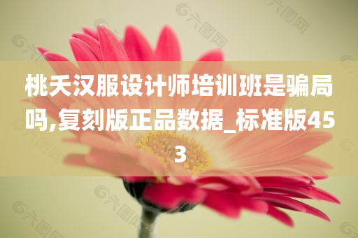 桃夭汉服设计师培训班是骗局吗,复刻版正品数据_标准版453