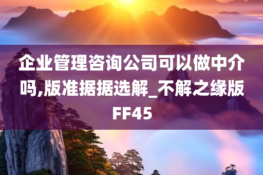 企业管理咨询公司可以做中介吗,版准据据选解_不解之缘版FF45