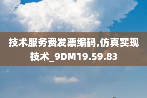 技术服务费发票编码,仿真实现技术_9DM19.59.83