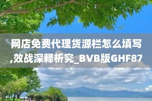 网店免费代理货源栏怎么填写,效战深释析究_BVB版GHF87