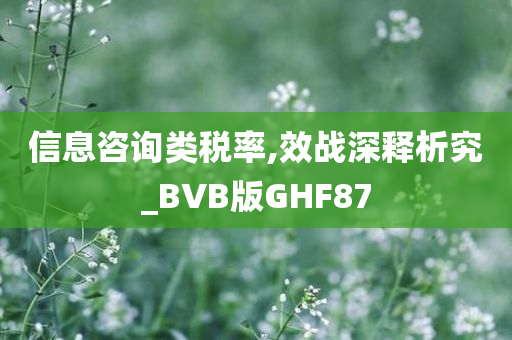 信息咨询类税率,效战深释析究_BVB版GHF87