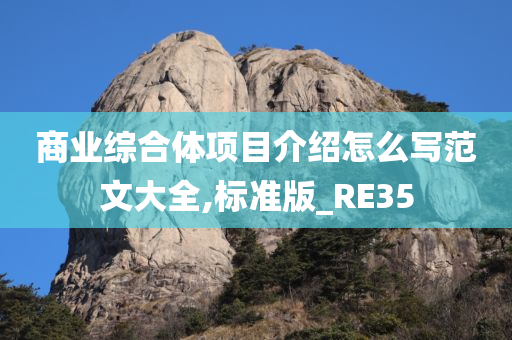 商业综合体项目介绍怎么写范文大全,标准版_RE35