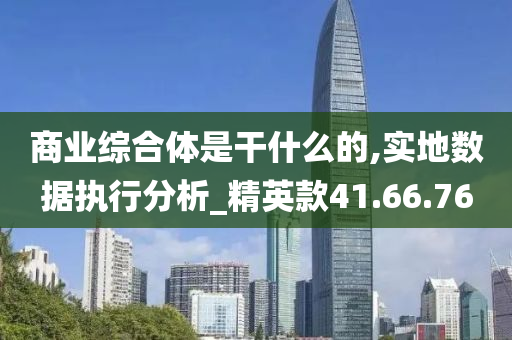 商业综合体是干什么的,实地数据执行分析_精英款41.66.76