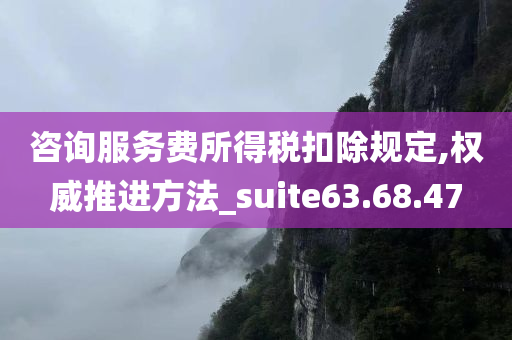 咨询服务费所得税扣除规定,权威推进方法_suite63.68.47