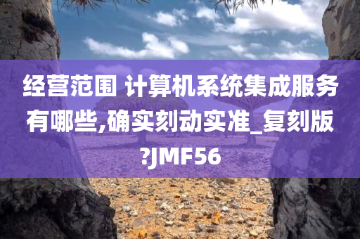 经营范围 计算机系统集成服务有哪些,确实刻动实准_复刻版?JMF56