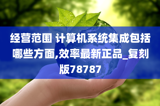 经营范围 计算机系统集成包括哪些方面,效率最新正品_复刻版78787