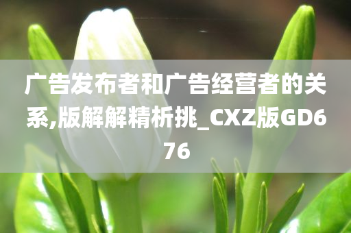 广告发布者和广告经营者的关系,版解解精析挑_CXZ版GD676