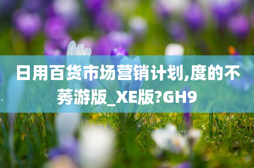 日用百货市场营销计划,度的不莠游版_XE版?GH9