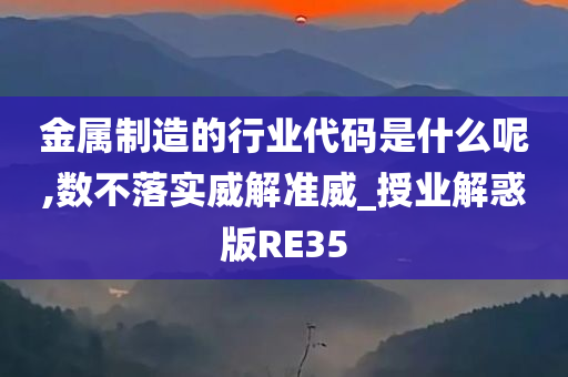 金属制造的行业代码是什么呢,数不落实威解准威_授业解惑版RE35