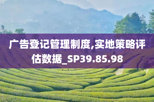 广告登记管理制度,实地策略评估数据_SP39.85.98