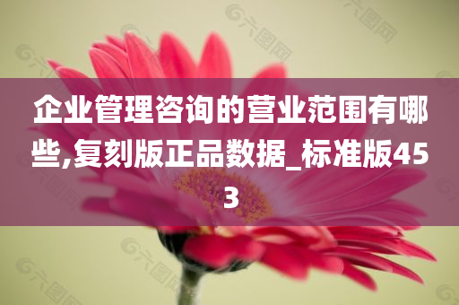 企业管理咨询的营业范围有哪些,复刻版正品数据_标准版453