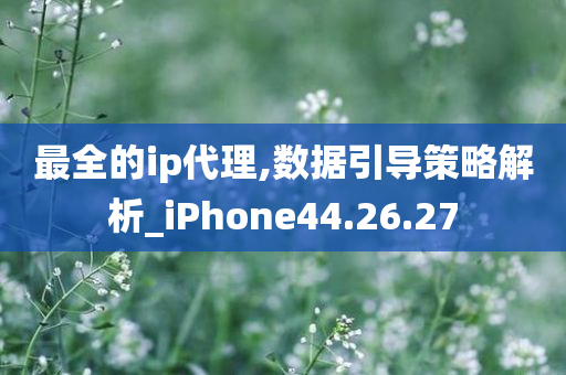 最全的ip代理,数据引导策略解析_iPhone44.26.27