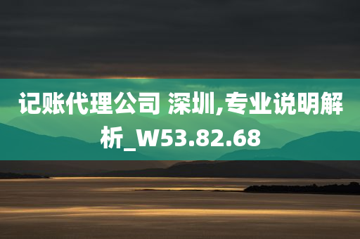 记账代理公司 深圳,专业说明解析_W53.82.68