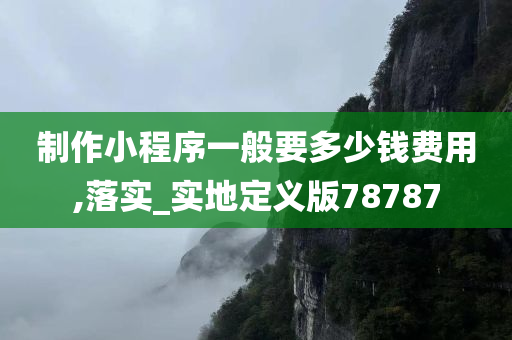 制作小程序一般要多少钱费用,落实_实地定义版78787