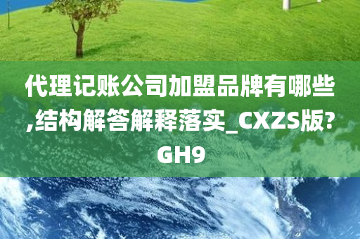 代理记账公司加盟品牌有哪些,结构解答解释落实_CXZS版?GH9