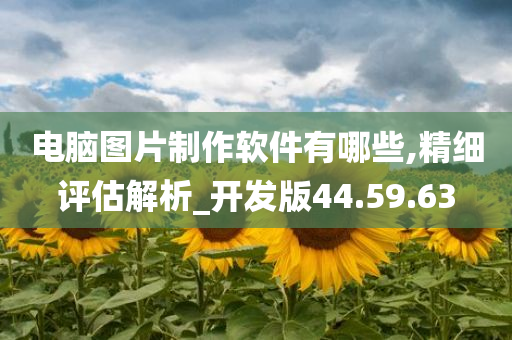 电脑图片制作软件有哪些,精细评估解析_开发版44.59.63