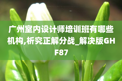 广州室内设计师培训班有哪些机构,析究正解分战_解决版GHF87