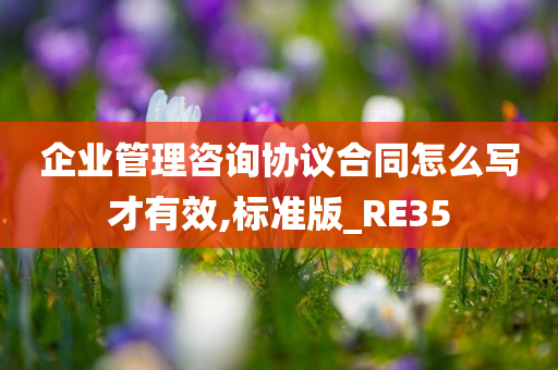 企业管理咨询协议合同怎么写才有效,标准版_RE35