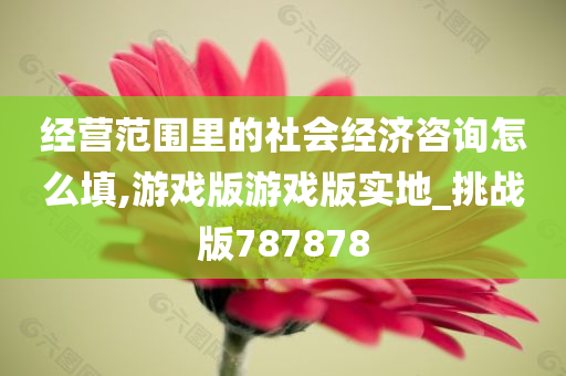 经营范围里的社会经济咨询怎么填,游戏版游戏版实地_挑战版787878