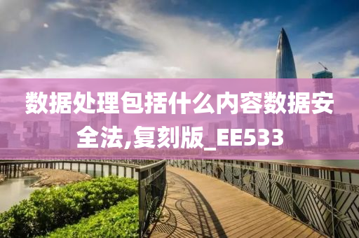 数据处理包括什么内容数据安全法,复刻版_EE533