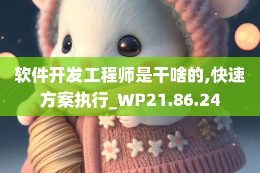 软件开发工程师是干啥的,快速方案执行_WP21.86.24